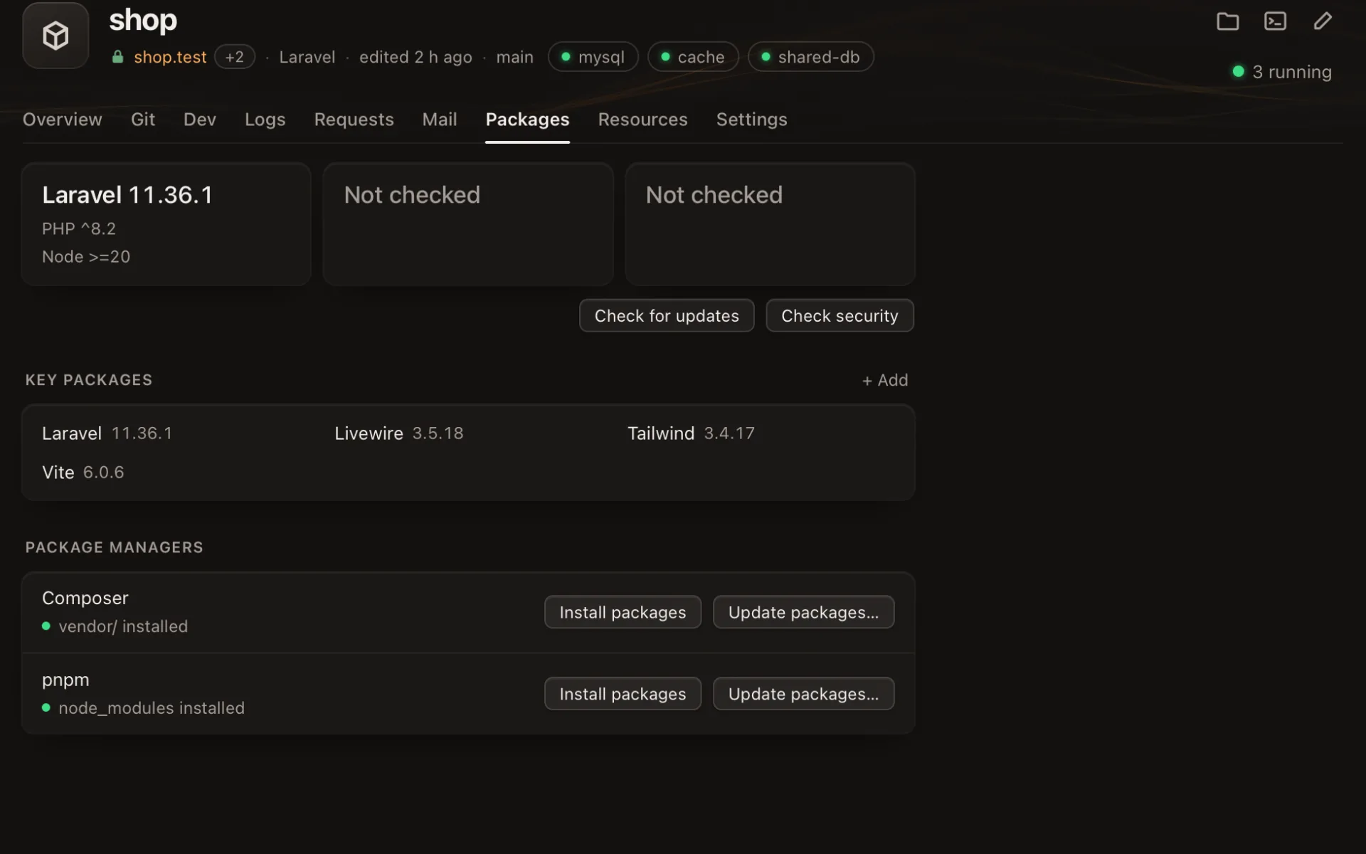 The Packages tab: tiles for the framework, updates and advisories, then the key packages and the package managers