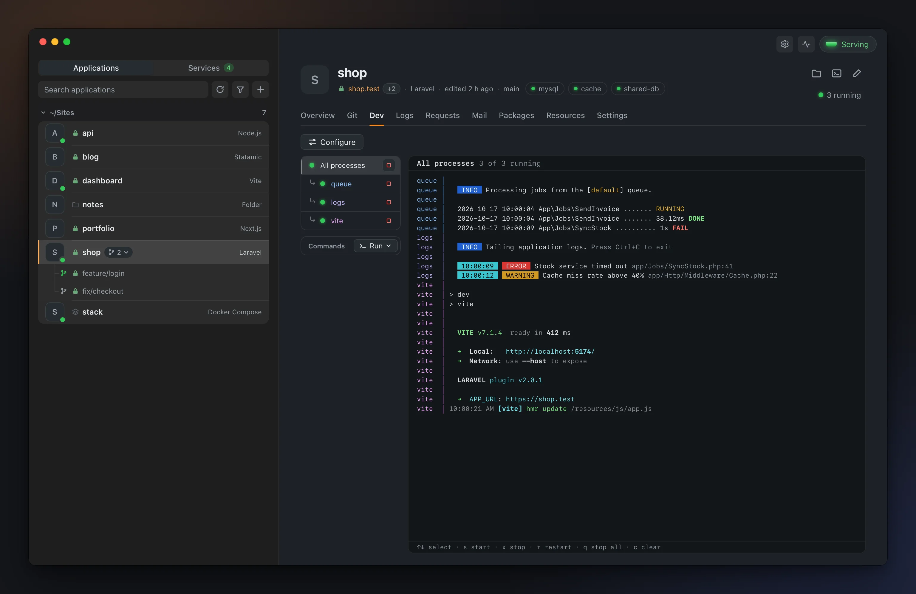 The Dev tab: a Laravel app's processes and their live output